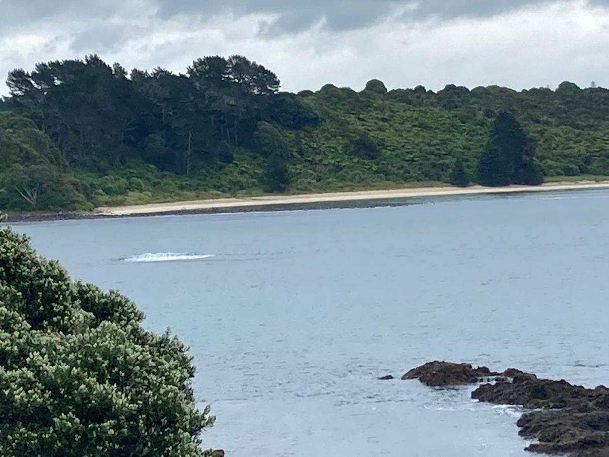 The Seahouse Apartman Kerikeri Kültér fotó